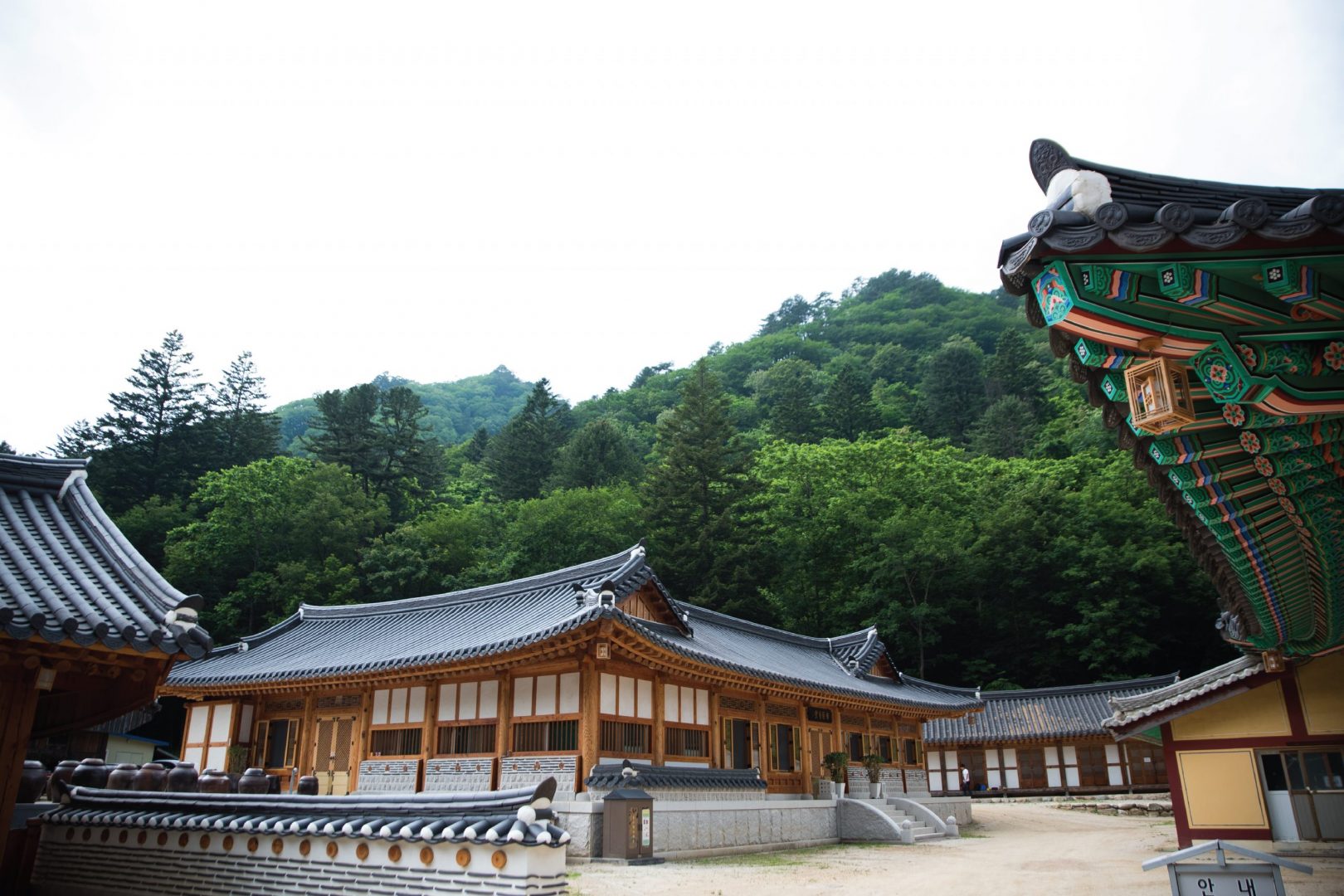 싱가포르 회사 종류 및 진출 형태